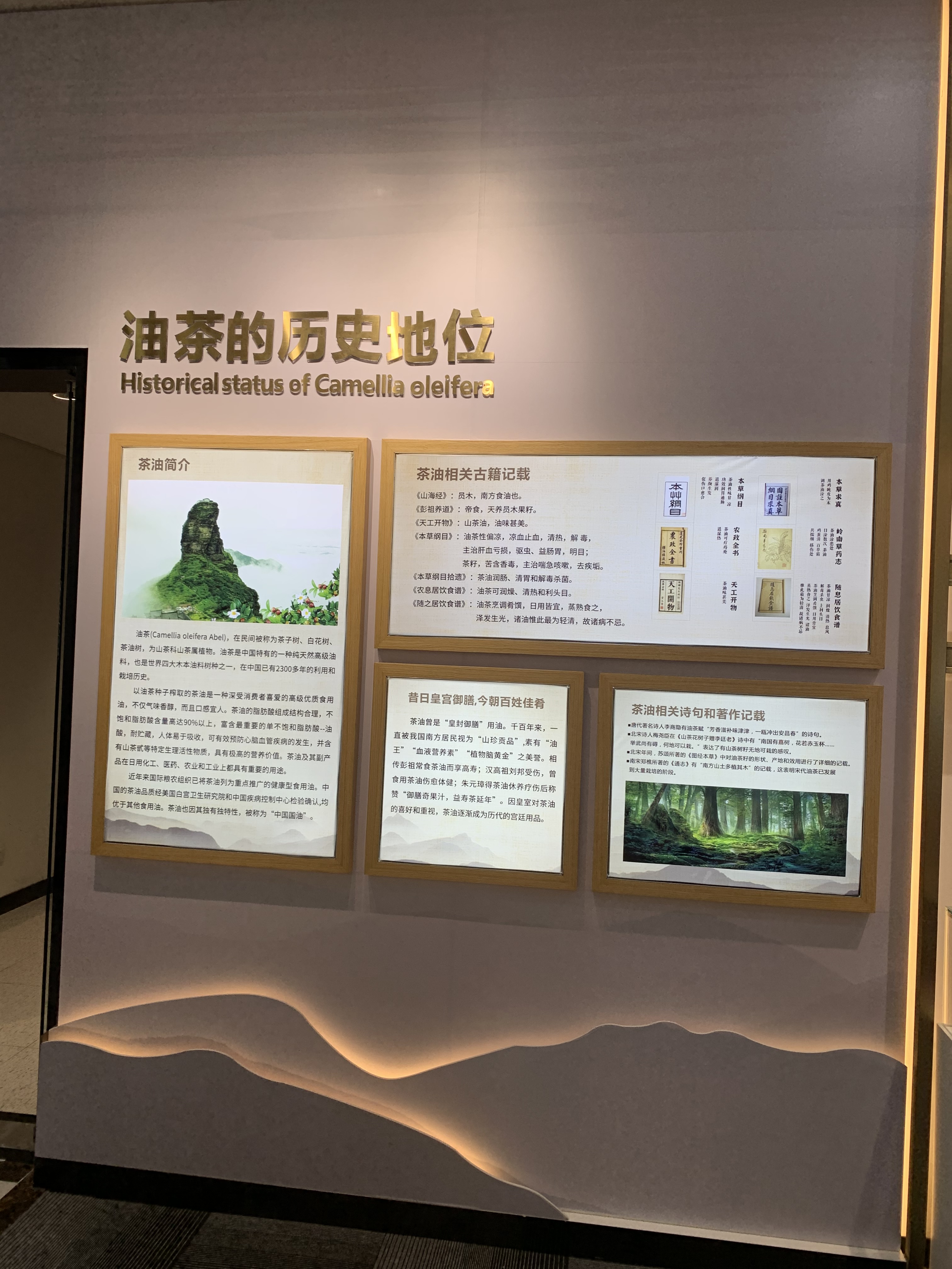 如何才算 是一個好的展廳設計